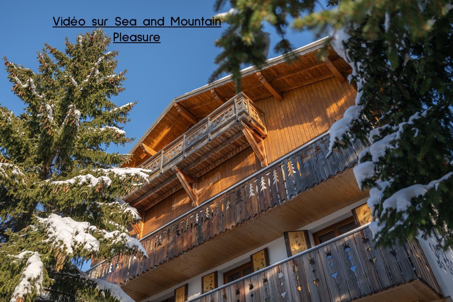 Chalet Alpe D'Huez 1850-Sea And Mountain Pleasure Avec 2 Appartements- 1 Appartement 3 Chambres 8 Couchages - 3 Salles D'Eau Et 1 Appartement 5 Chambres 12 Couchages 5 Salles D'Eau - Jacuzzi Et Sauna -Pieds Des Pistes Et Centre Exterior foto